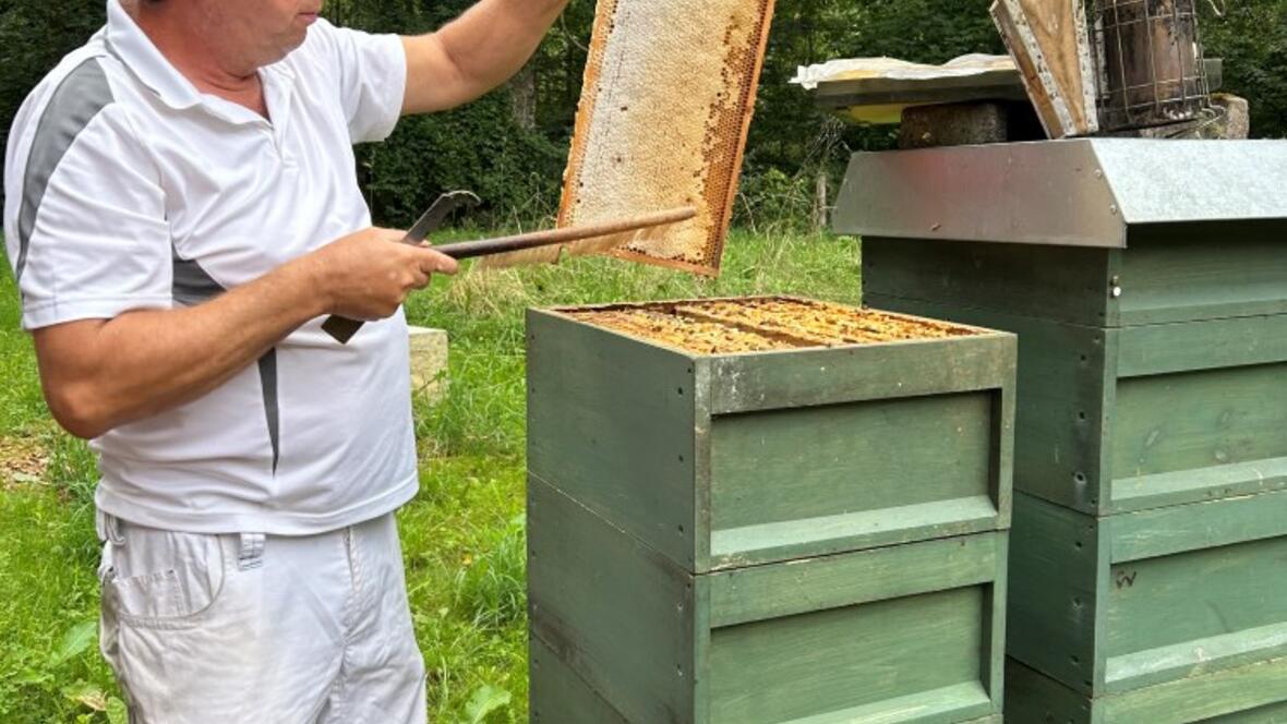 2408bienen-7