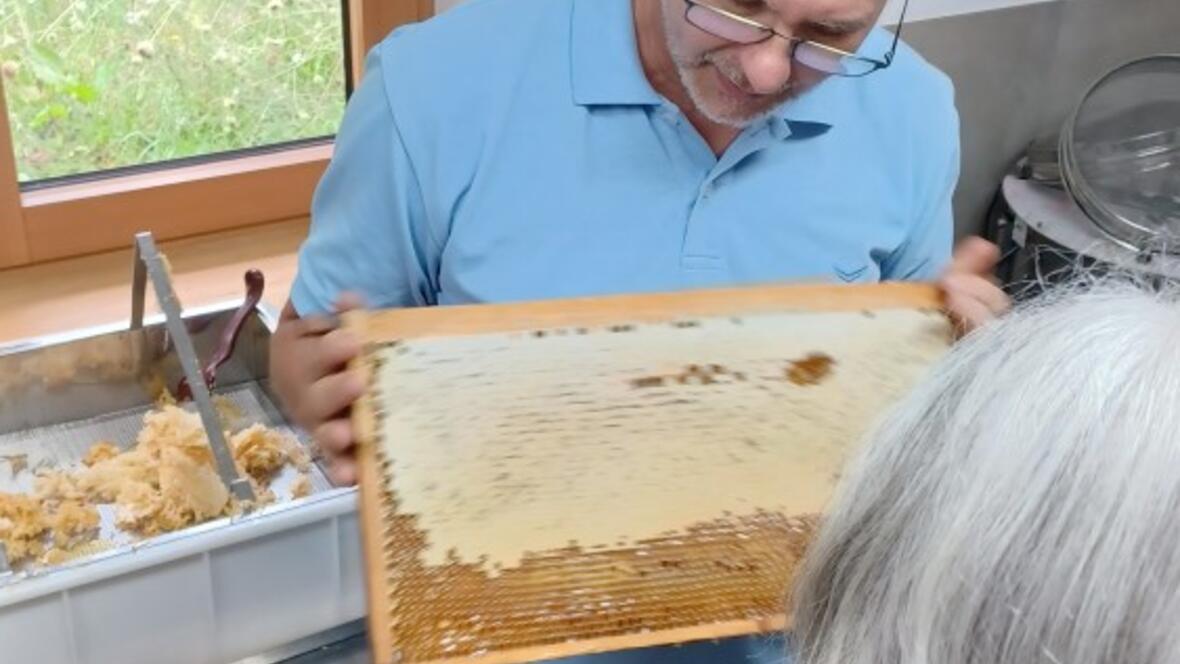 2408bienen-10