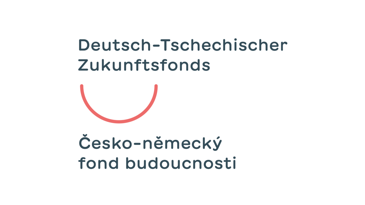dtzf_logotyp_grundlogo_de