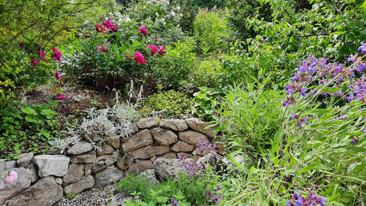 garten-naturnah-foto-birgit-kroneisl