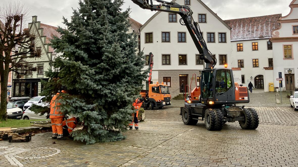 christbaum-aufbau-karlsplatz-2025-3