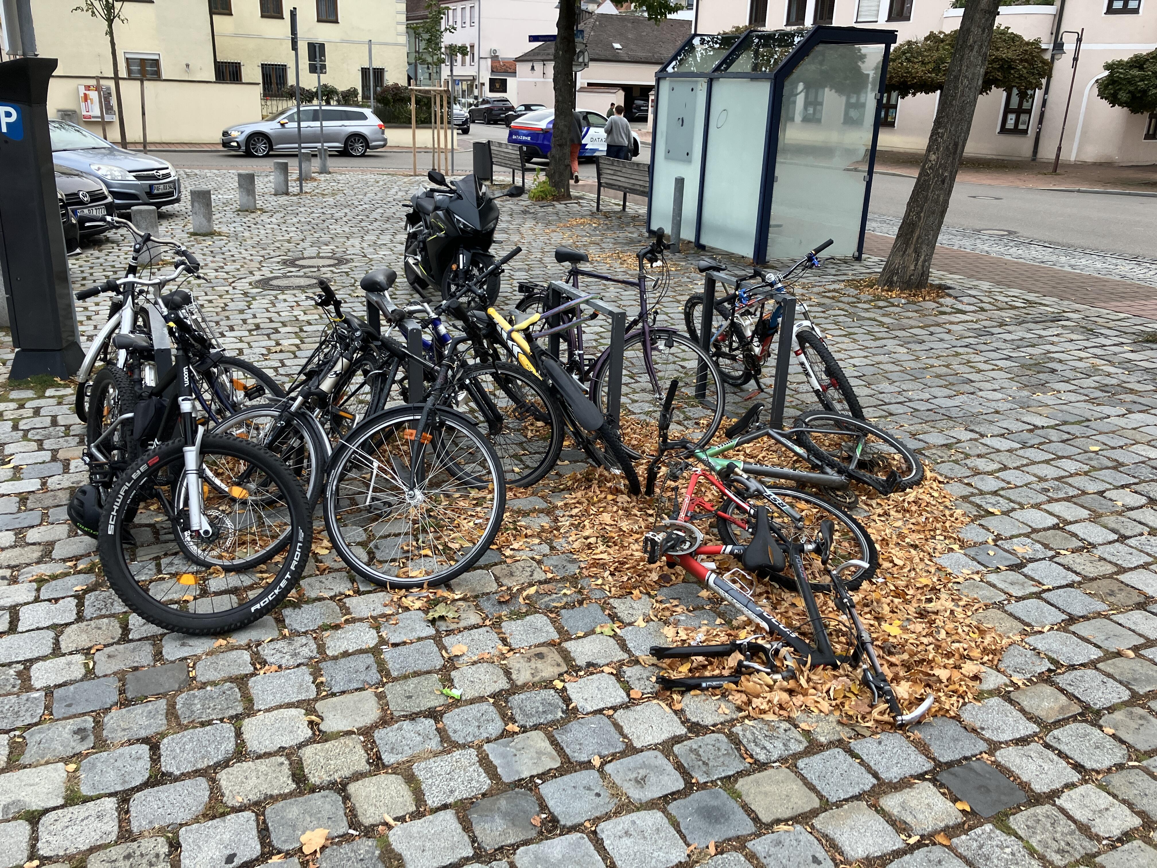 fahrradleichen-1