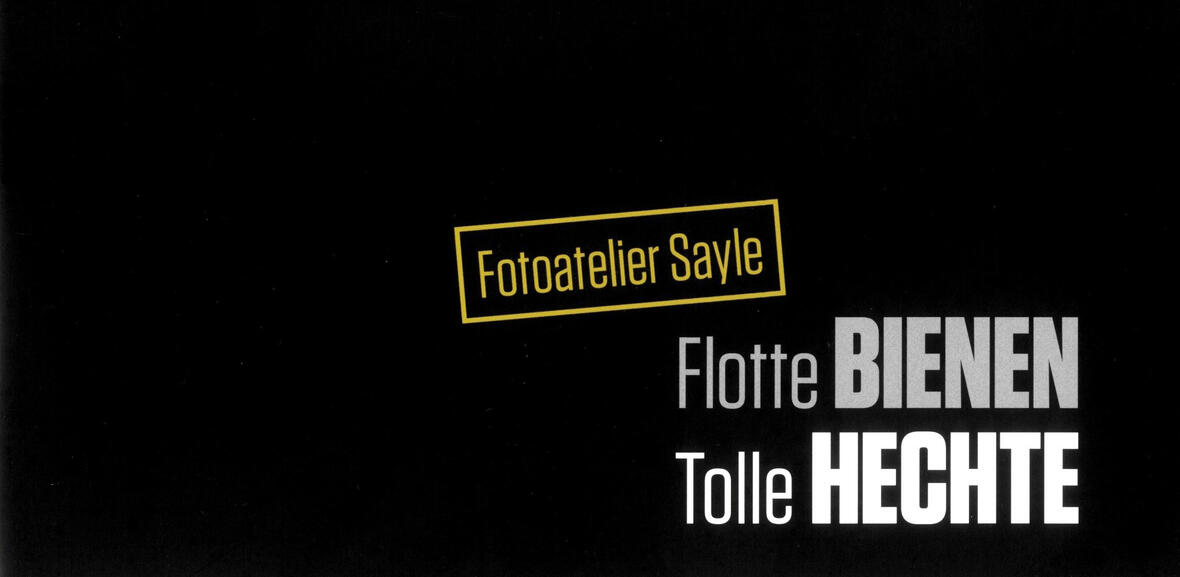 flotte-bienen-titelseite