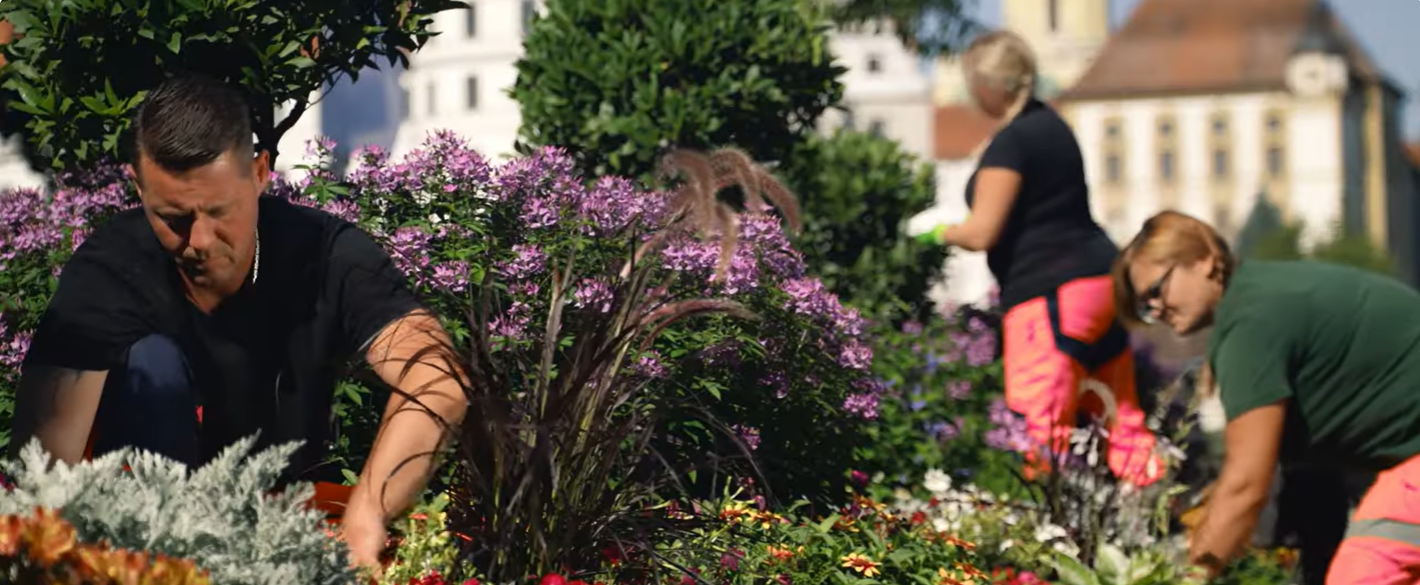 910144c9-0c83-4aa0-bd0c-2cb688ce6fd6