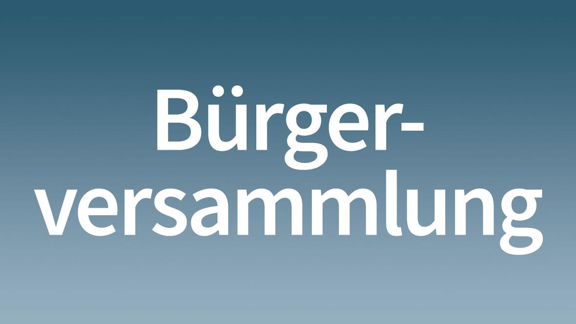 teaser_buergerversammlung