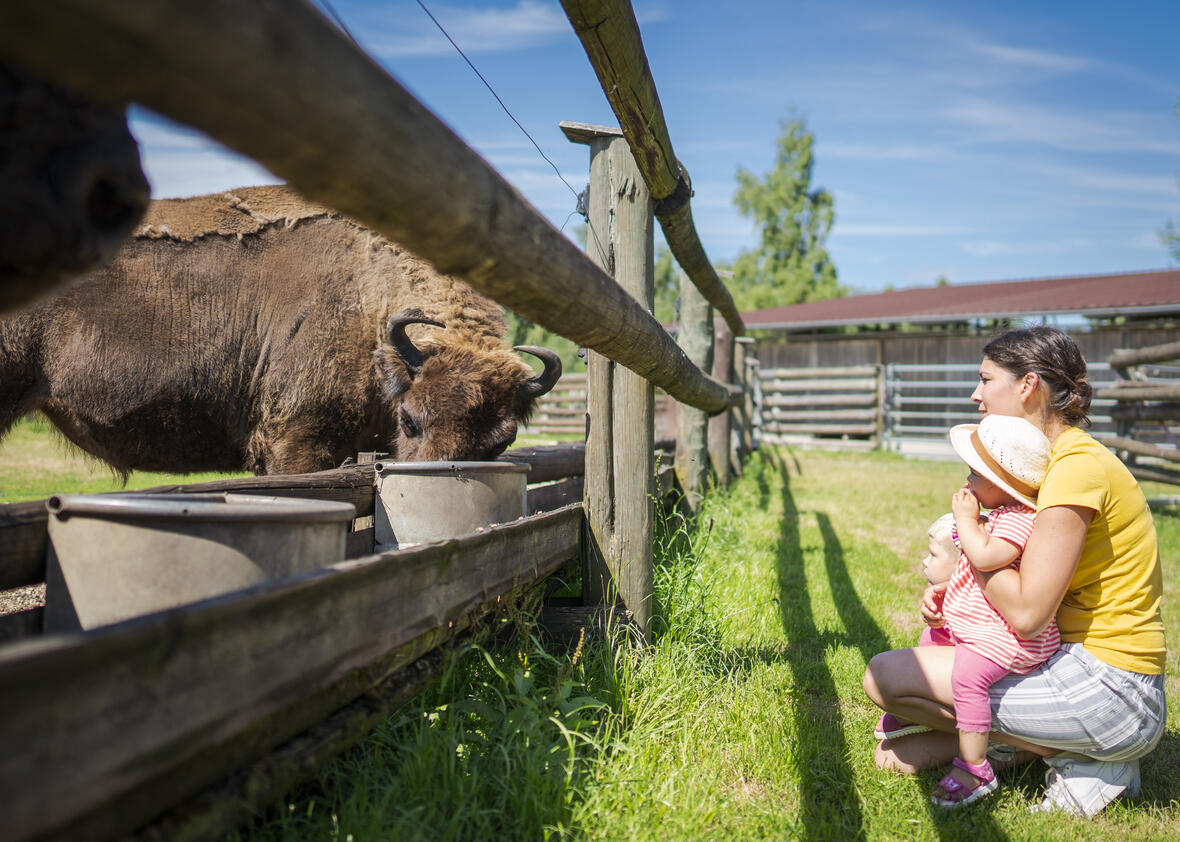 Bild: Dietmar Denger