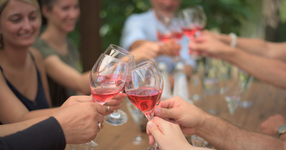 Weinverkostung mit Weinbergführung Stadt Neuburg an der Donau