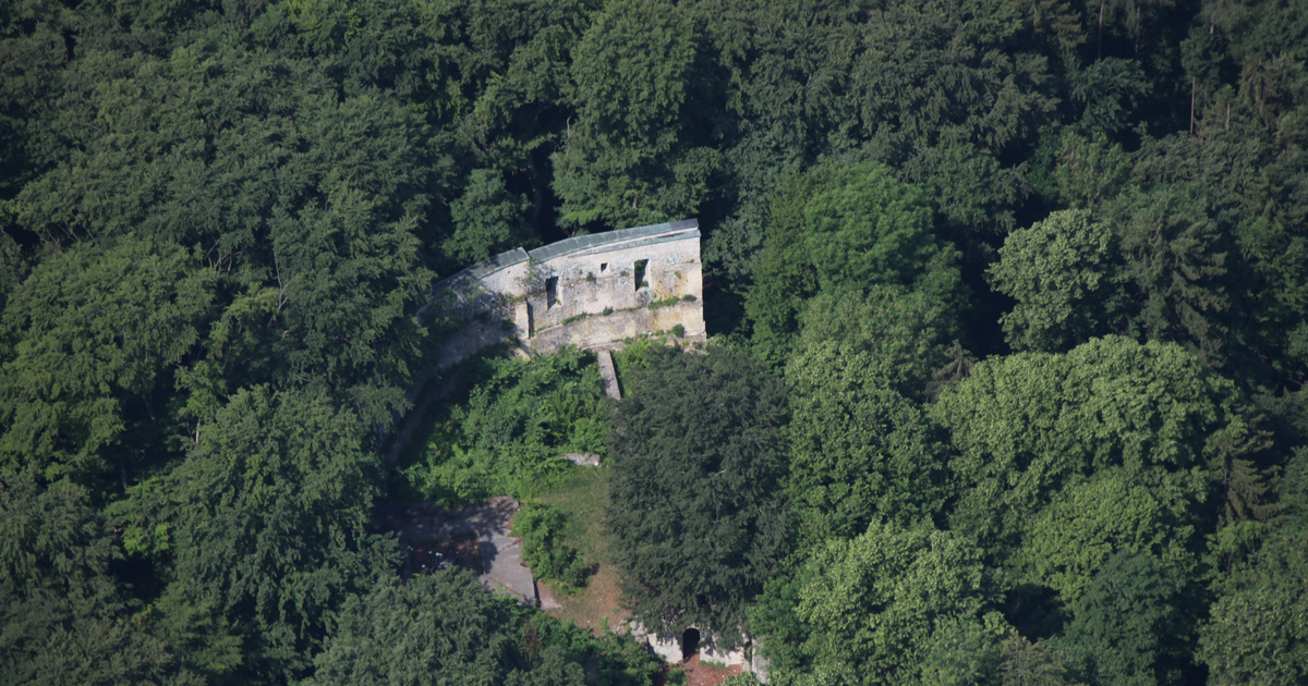 Alte Burg Neuburg