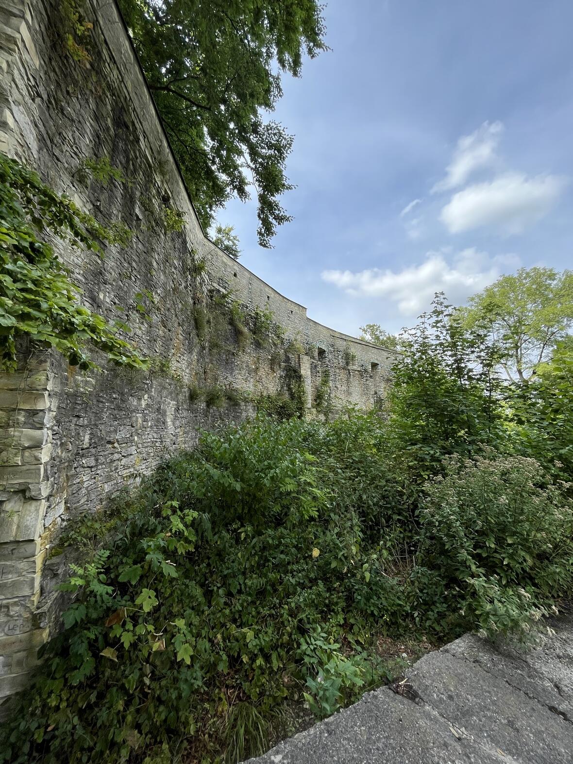 rundweg-alte-burg-1-c-krautmann_katharina