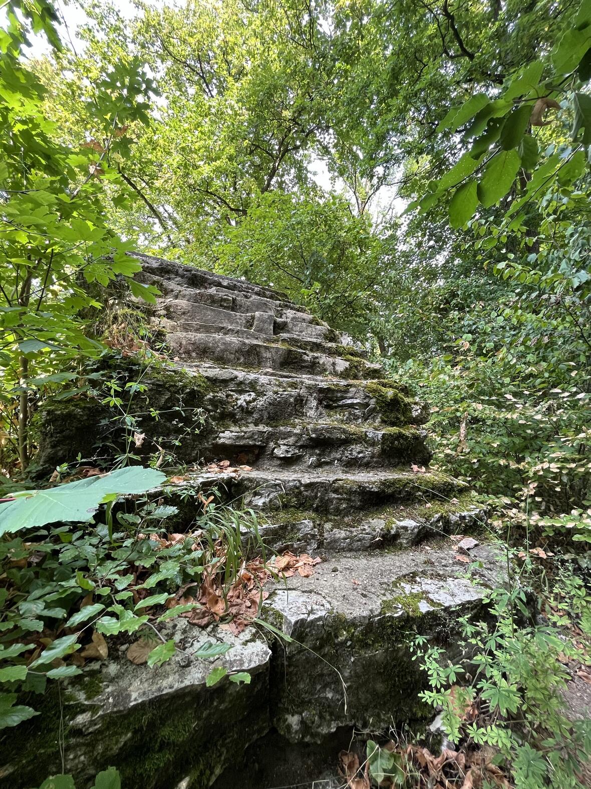 rundweg-alte-burg-5-c-krautmann_katharina