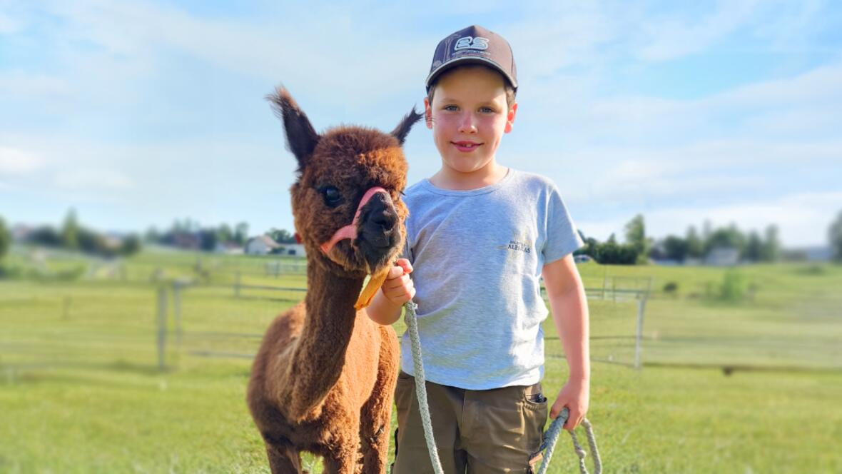 Bild: Katharina Krautmann