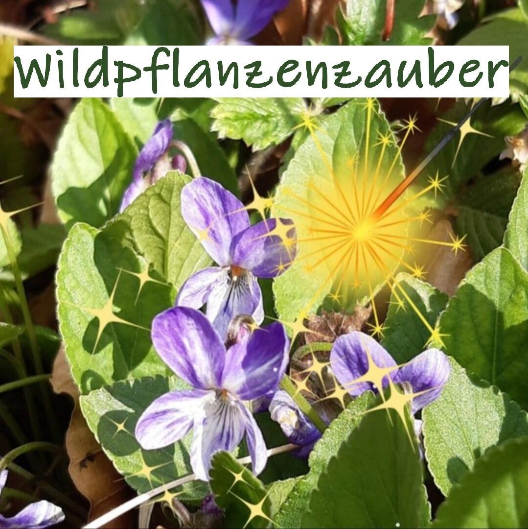 2025-04-15_15-05-53-logo_wildpflanzenzauber